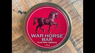 War Horse Bar & Eastern Gray Squirrel
