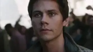 Maze Runner  Heroes
