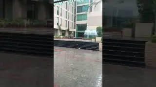 Heavy Rainfall #youtube #youtubeshorts #ytshorts #tiktok #shortvideo #viral