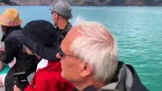 Akaroa boottocht