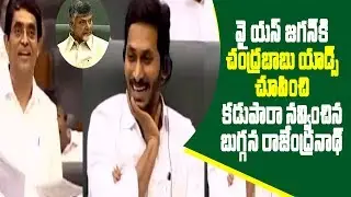 Buggana Rajendranath Reddy satire on chandrababu advertisements in ap assembly