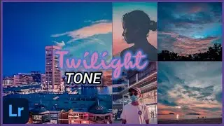 Lightroom Mobile Preset 2020 | Twilight Tone