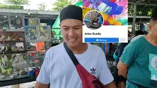 Vlog411 Cockatiel Lutino Pearl 😱🦜😱Hagoromo Parakeets😱🦜😱