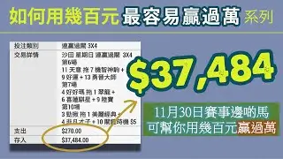 11月30日第8,9場值得留意的馬匹