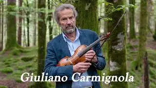Play the Violin sheet music with Giuliano Carmignola/ Vivaldi: Violin Concerto in F major, RV 283