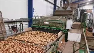 Pelmachine bloembollen