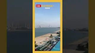 CSK 💛 Reached Dubai 😍 #Shorts #CSK #IPL2021