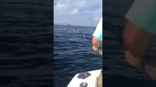 Catching red snapper St George Island