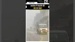 Severe cold in Jalandhar, increasing problems for motorists