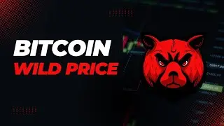 Bitcoin&rsquo;s Wild Price History: Major Swings & What They Teach Us