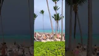 Escape the cold, soak in tropical vibes at B&aacute;varo Beach 🌊