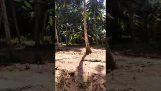 12.25 Cent Plot for sale, Kariavilai, mandaikadu. Best investment property. Good for Housing.