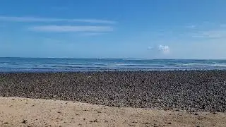 Punalu'u Beach, Oahu Hawaii, 3/11/23, 8:30am