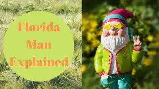 Why Florida has the craziest news stories (Florida Man Meme) | Govt. Policy