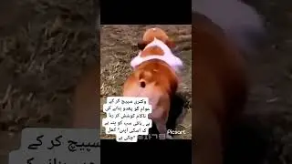 #funandfun #comedy #subscribetomychannel