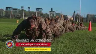 Videos of The Day - October 28th, 2017
