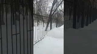11 января 2024 г.