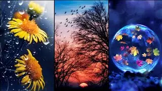 unique wallpapers for mobile | Beautiful wallpaper collection | hd wallpapers | new wallpaper images