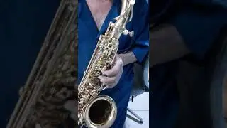 Teste sax alto Eagle 501 Top