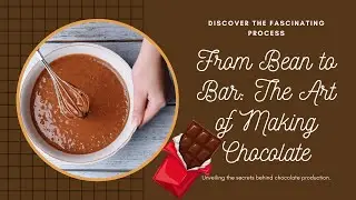 The Insane Chocolate Production Process, Explained