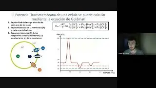 Clases de Repaso CyD - Potencial de Membrana