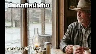 ฝนตกที่หน้าต่าง(cover)style country 