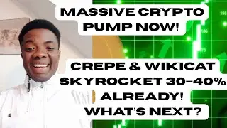 🚀 MASSIVE CRYPTO PUMP! Crepe & Wikicat Skyrocket 30&ndash;40% &mdash; What&rsquo;s Next? | Crypto Market Update 2025🔥
