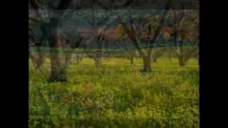 lll - The Grassy Knoll