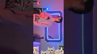 трек 