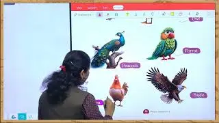 ch 16 Our Flying Friends