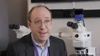 Blood cell mutations confound prostate cancer liquid biopsy