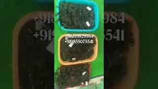Nandee house Indian hair factory,  top quality hair styles exporter, manufacturer,  Big wholesaler