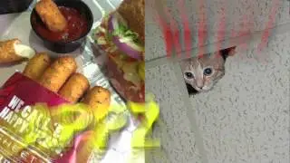 APPZ and KITTIEZ