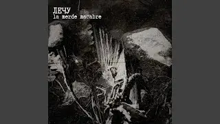 Лечу