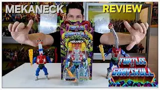 MEKANECK MASTERS OF THE UNIVERSE ORIGINS! TURTLES OF GRAYSKULL FIGURE REVIEW! MOTU COLLECTION!