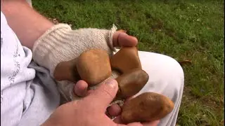 Flint Knapping ABO - Mississippi Citronelle Gravel