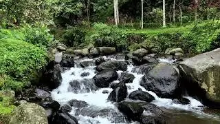 Feel soft calmness with natural river noise in forest air to bring soothing deep relaxation