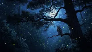 Owl Hooting & Crickets | Relaxing Night Forest Sounds for Deep Sleep [10 Hours]