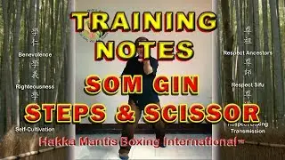 Training Notes:  Three Steps and Scissors