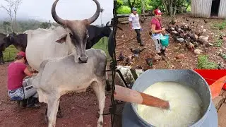 DIA DIA NA FAZENDA: Madrugamos para labuta. Parte II