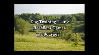 Dog Training Using Recallers Games Is A Journey