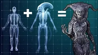 Human Xenomorph Queen Origin : First Human Xenomorph Fusion