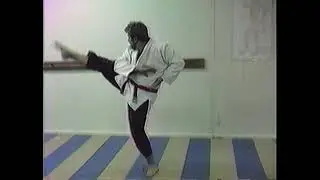 Old School Martial Arts 1