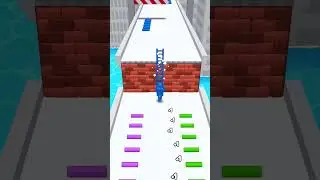 ladder Master 172 level