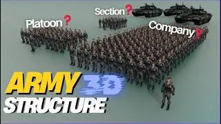 Military Structure 3D: Platoon to Company Explained