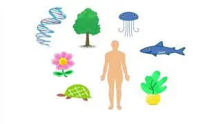 Investigating the plant mobilome responsiveness under stress
