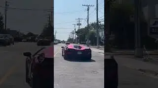 New Countach & 2 Sians V12 ACCELERATIONS