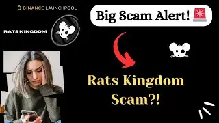 🪙 Rats Kingdom: Real or Scam? Don&rsquo;t Miss the Truth! | Rats Kingdom Exposed!