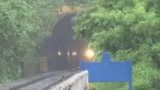 UBL Yellow WDG4 Busy With Freight Duty Panval Viaduct!!