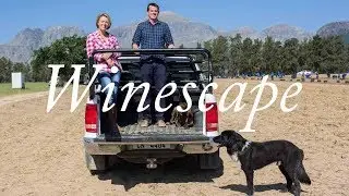 Winescape South Africa | Shared Vision at Bosman Family Vineyards